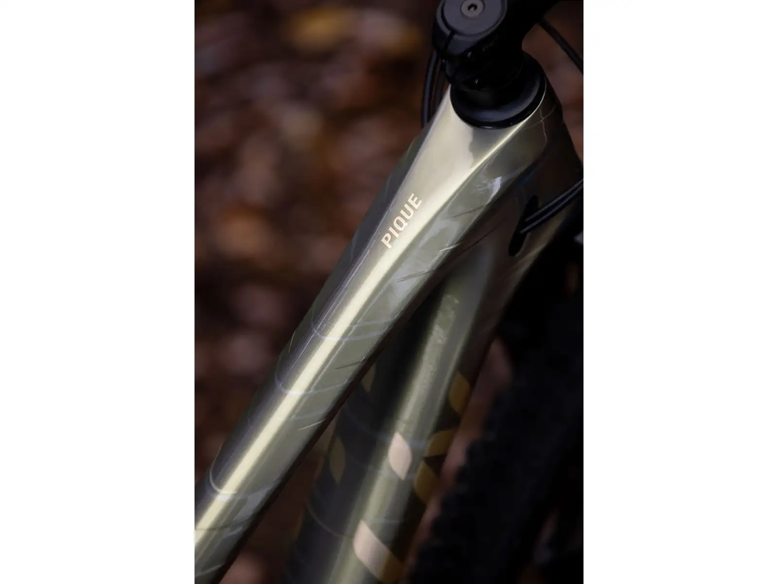 Liv Pique Advanced 29 2 mountain bike Golden Haze