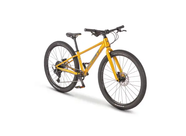 Beany Blaster XC 26 kids bike Gold