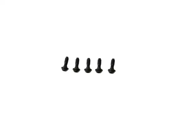Magura bolts for banjo brakes MT