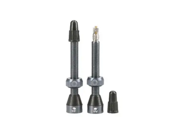 Tubolight Tubeless valves 50 mm grey - pair