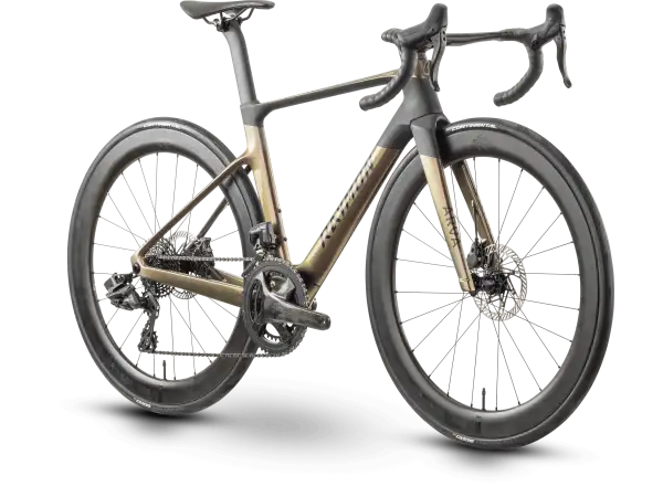 Raymon Arva Elite 26s Record road bike carbon/champagne