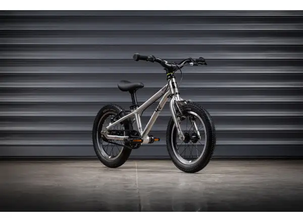 Early Rider Belter 14" children's bike Brushed Aluminium 2026