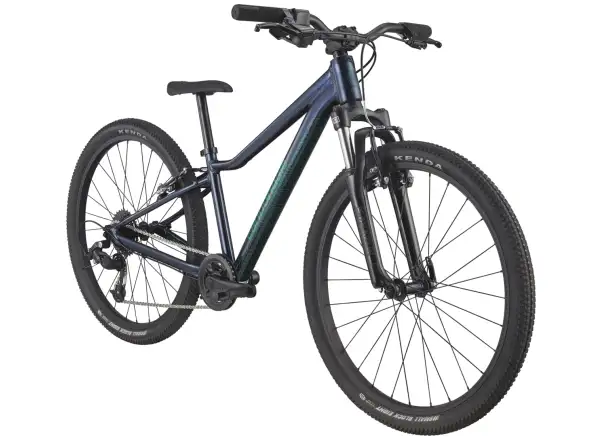 Cannondale Trail 24 MDN children's bike