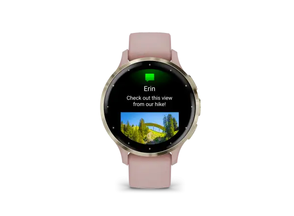 Garmin Venu 3S smart watch Soft Gold/Dust Rose