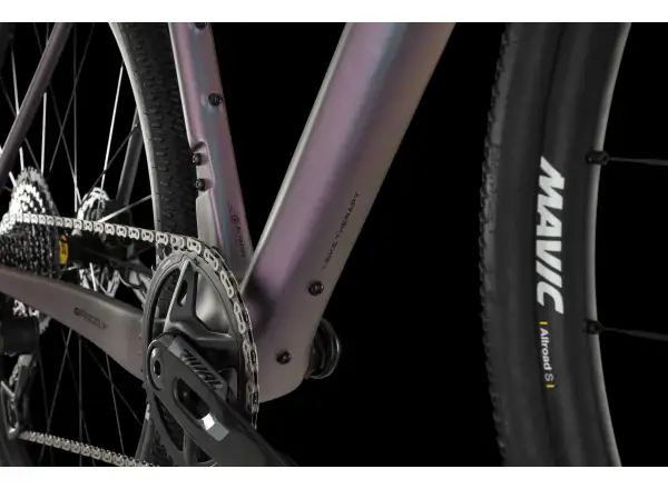 4Ever Grizzly AXS gravel bike Titan Rainbow