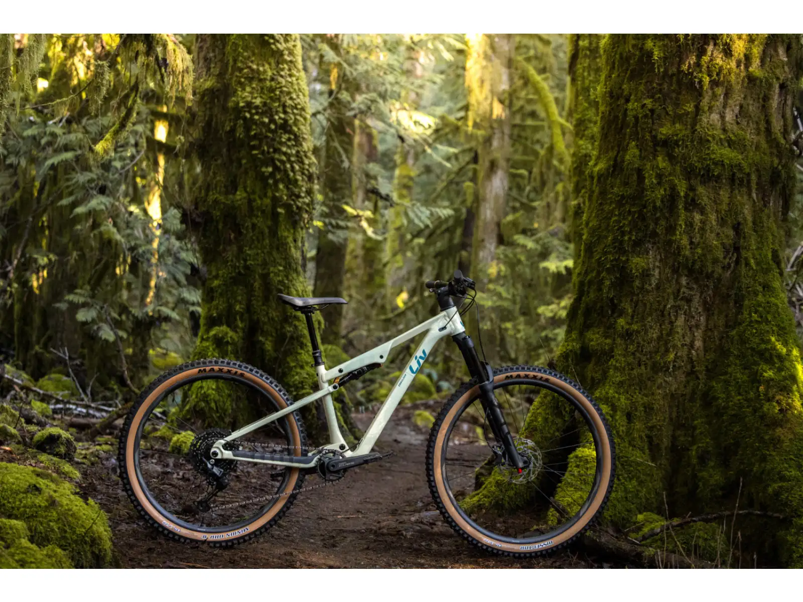 Liv Embolden 2026 mountain bike Pale Moss