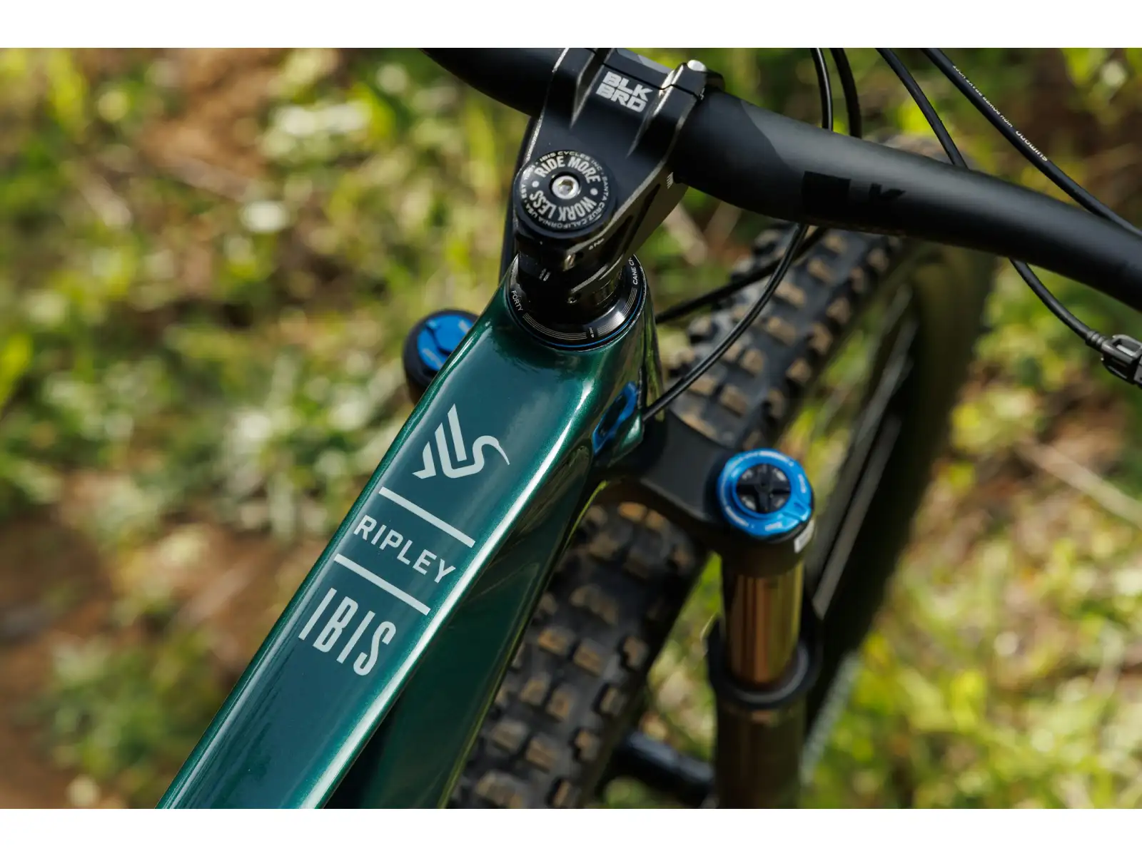 Ibis Ripley V5 GX T-Type AXS mountain bike Green Flash