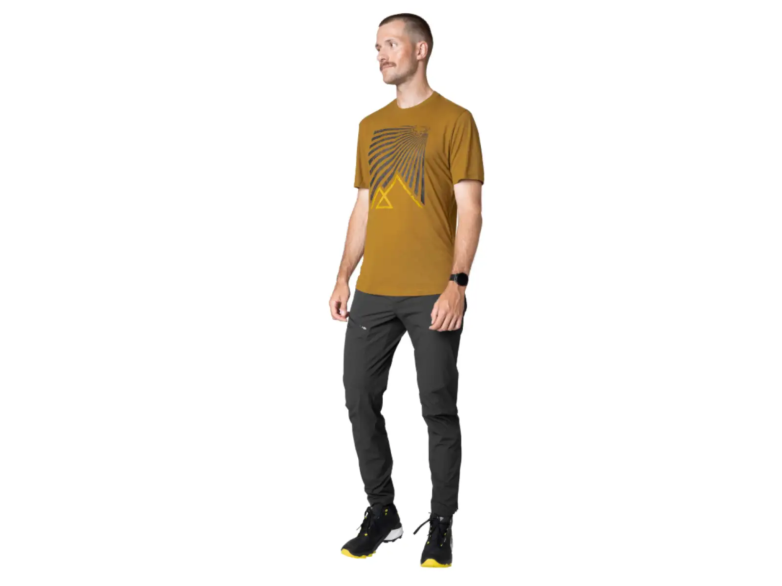 Dynafit Transalper Graphic men's T-shirt short sleeve Relic