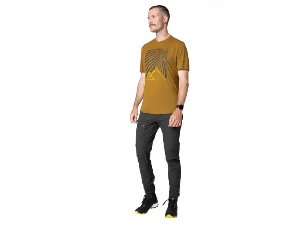 Dynafit Transalper Graphic men's T-shirt short sleeve Relic
