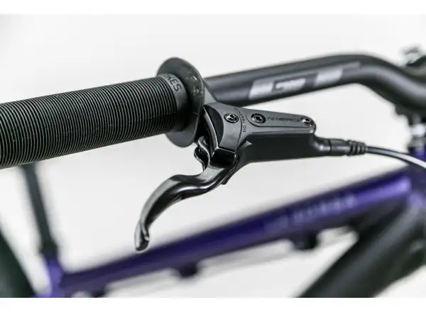 GT La Bomba Pro dirt bike