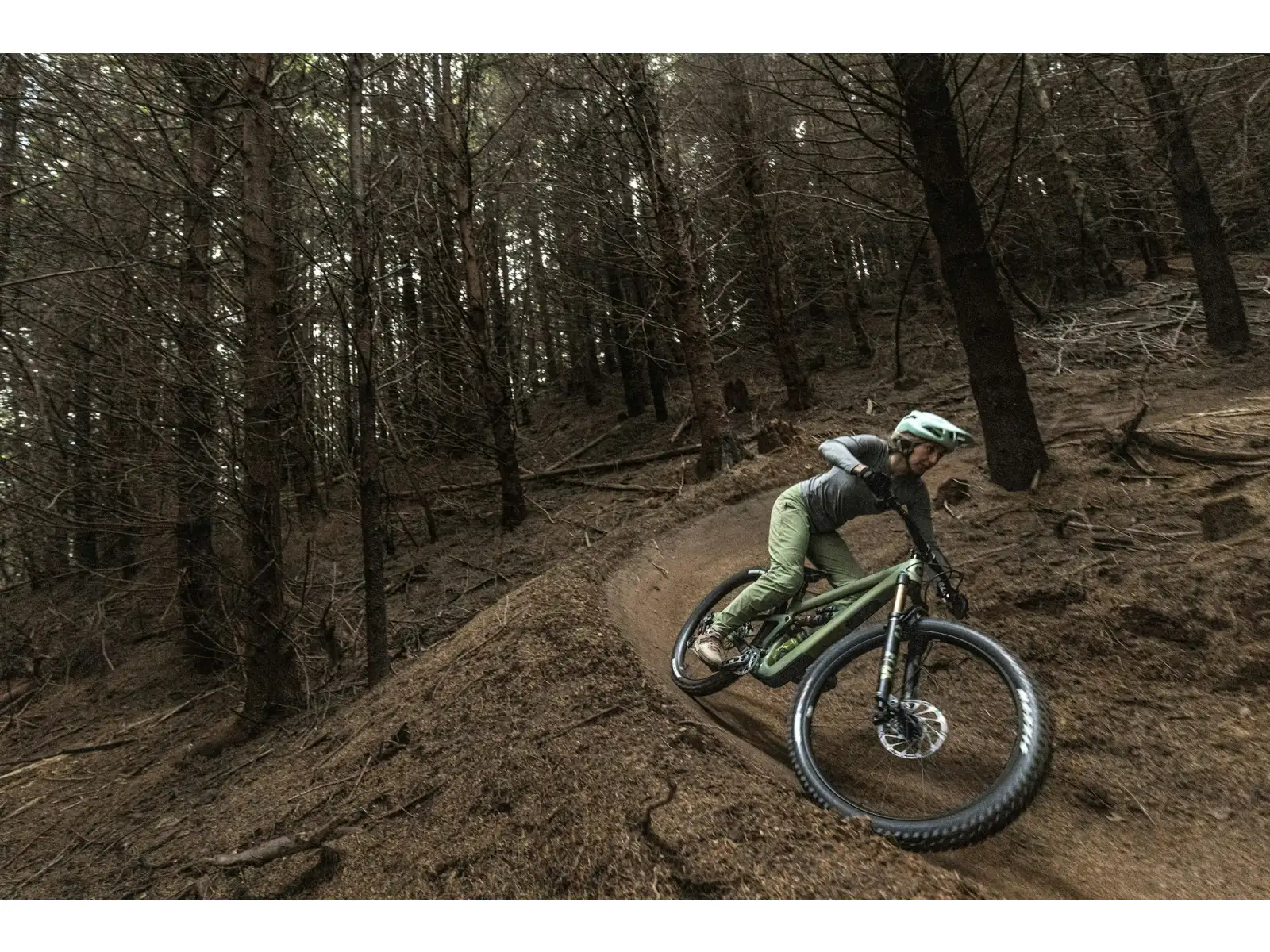 Ibis Ripmo V3 frameset Olive Swamp Monster