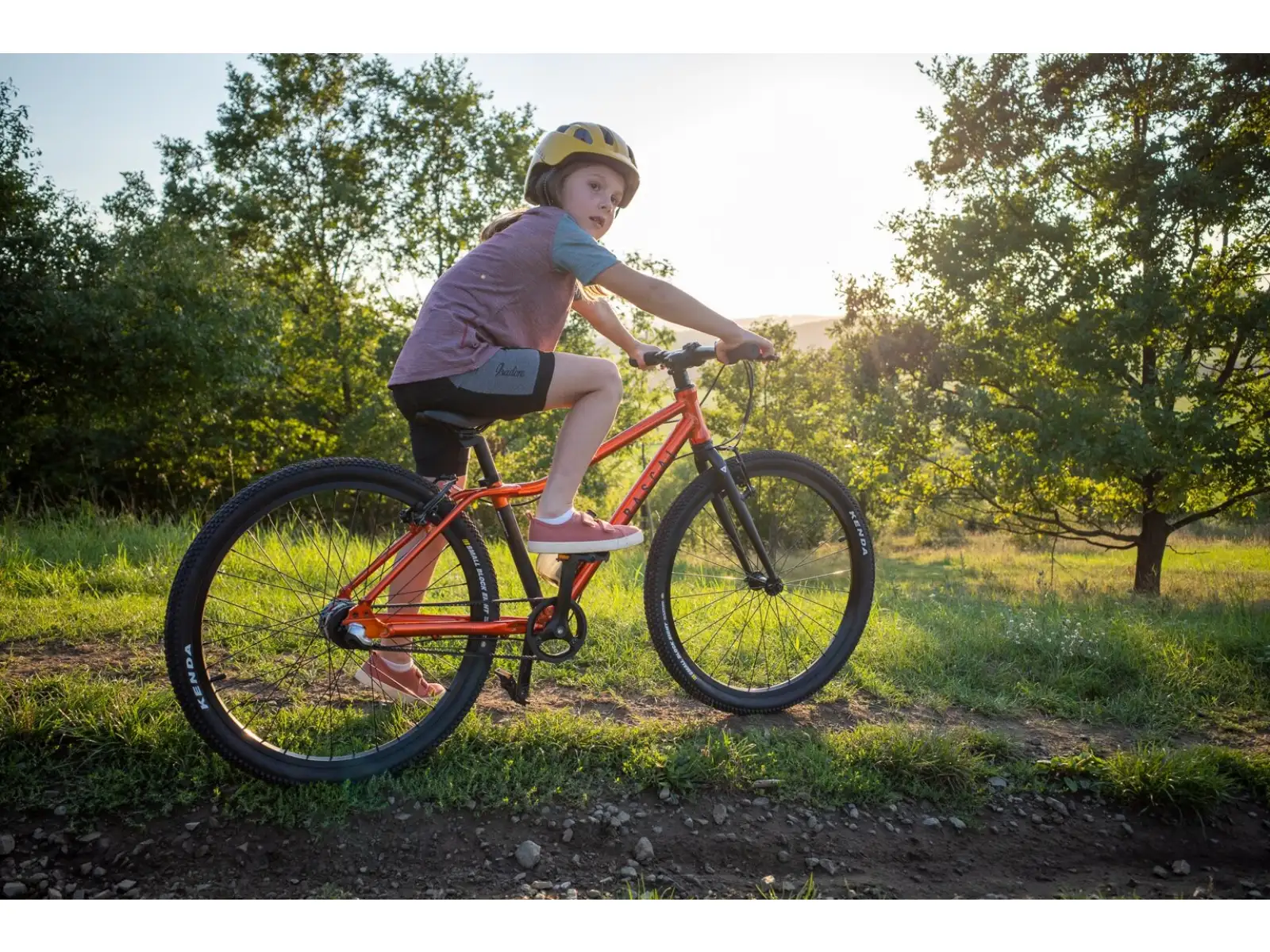 Rascal 26 7 sp. Shimano Nexus children's bike Flame