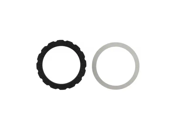 Campagnolo AFS lockring disk