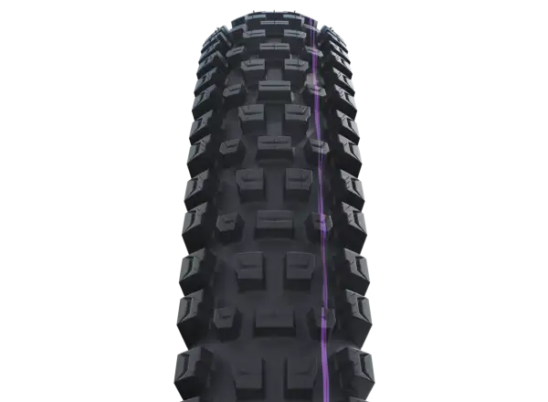 Schwalbe Albert GRAVITY PRO TLR E-50 Addix Ultra Soft Radial 29x2,60" MTB tire kevlar black