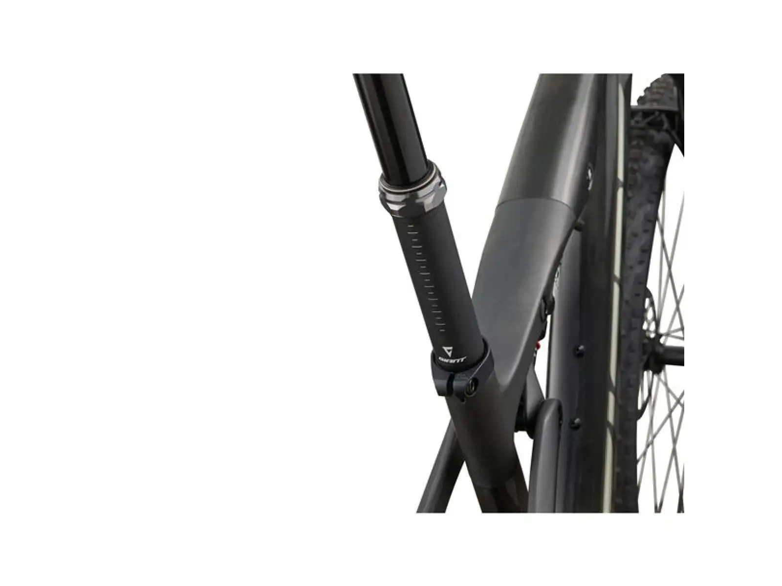 Giant Anthem Advanced 0 full suspension mountain bike Raw Carbon