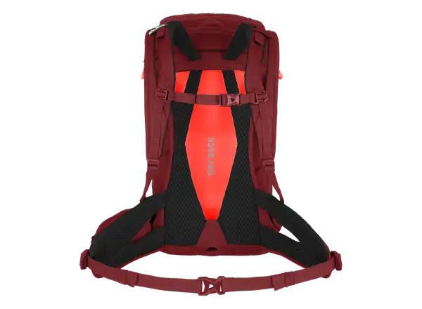 Salewa Alp Trainer women's backpack 20l Syrah