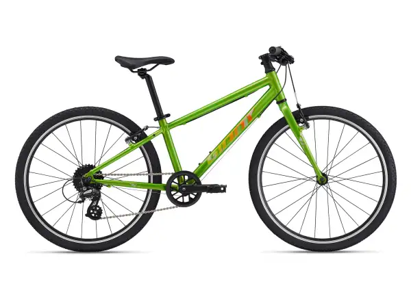 Giant ARX 24 children's bike Metallic Green